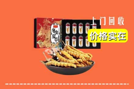 文县回收冬虫夏草